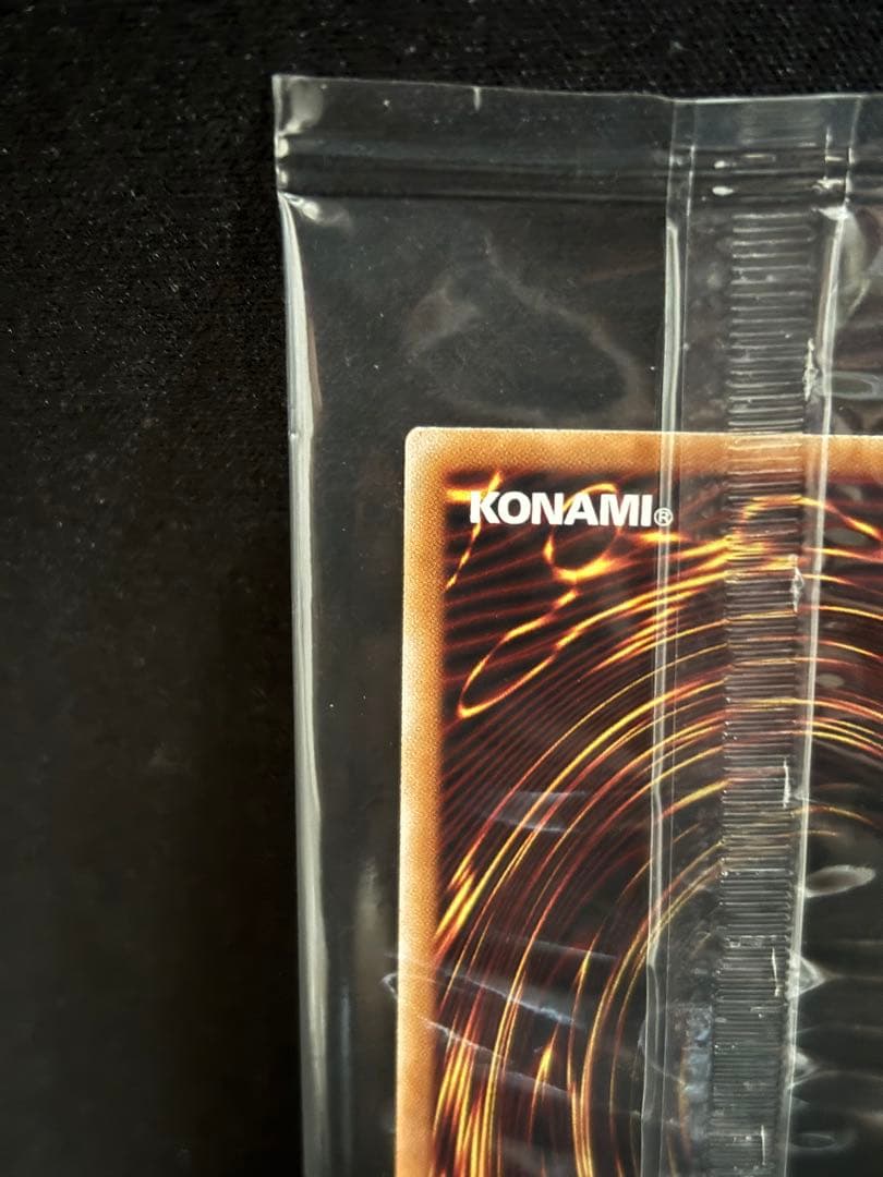 異次元の女戦士 未開封