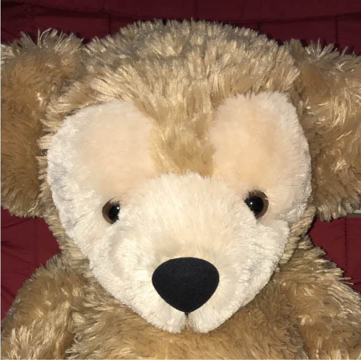 ④ ダッフィー毛長旧M 毛長ダッフィー ぬいぐるみ Duffy Disney Mサイズ 旧Lサイズ 東京