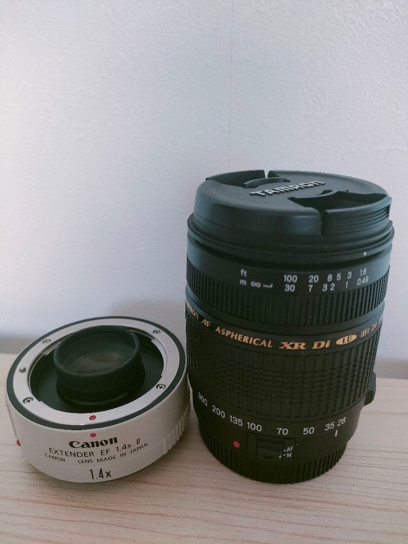 キャノン EXTENDER EF 1.4xⅡ＋タムロン 28-300mmジャンク キャノン EXTENDER EF 1.4xⅡ＋タムロン 28-300mmジャンク