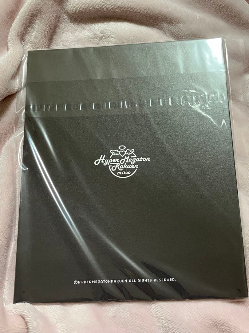 ハイパーメガトンラクエン　みぃこ　グラブル　ナルメア写真集