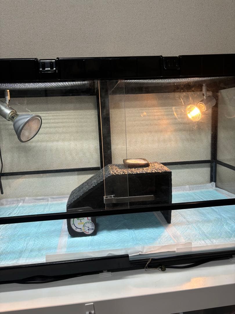 爬虫類ケージ　9045 専用 GEX エキゾテラ グラステラリウム PRO 9045 爬虫類 ケージ 代引不可