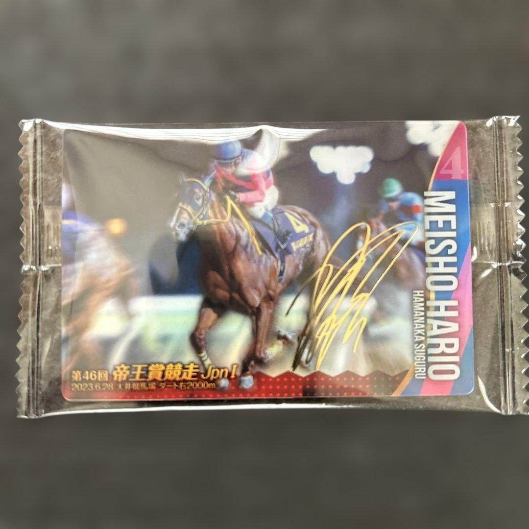 サラブレッドホースコレクション ウエハース メイショウハリオ サイン
