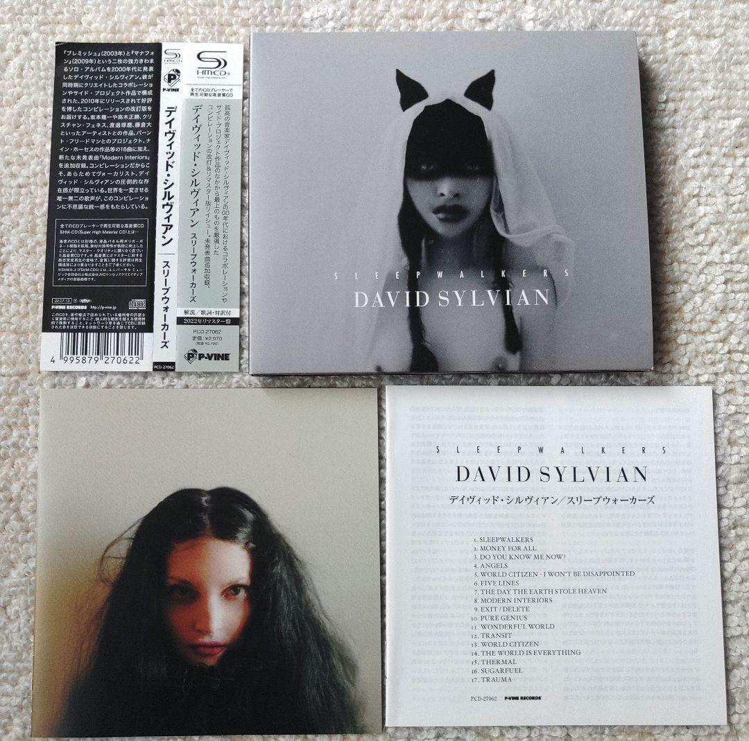 洋楽 David Sylvian CD s-l400.jpg