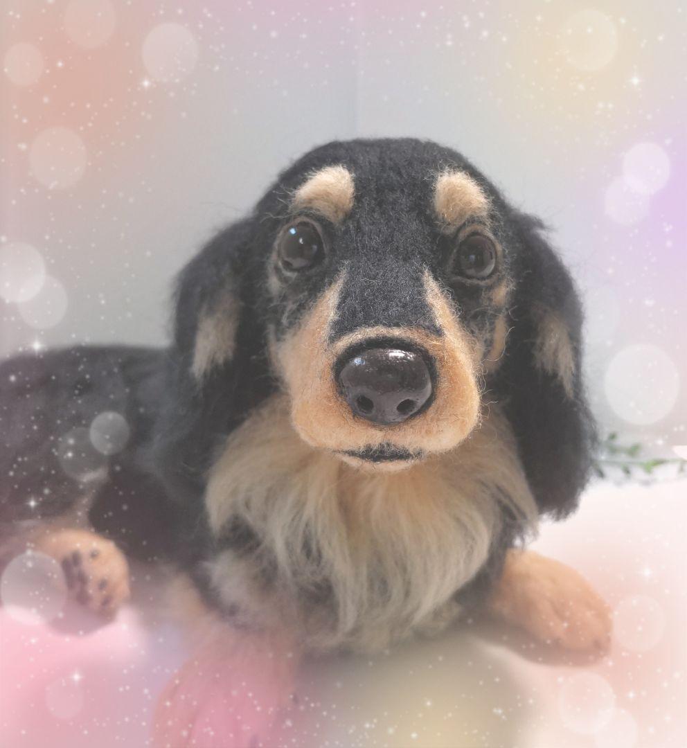 eiyu♡うちの子オーダー♡羊毛フェルト♪ハンドメイド☆ おかえりうちの子》羊毛フェルトうちの子オーダー | iichi 日々の