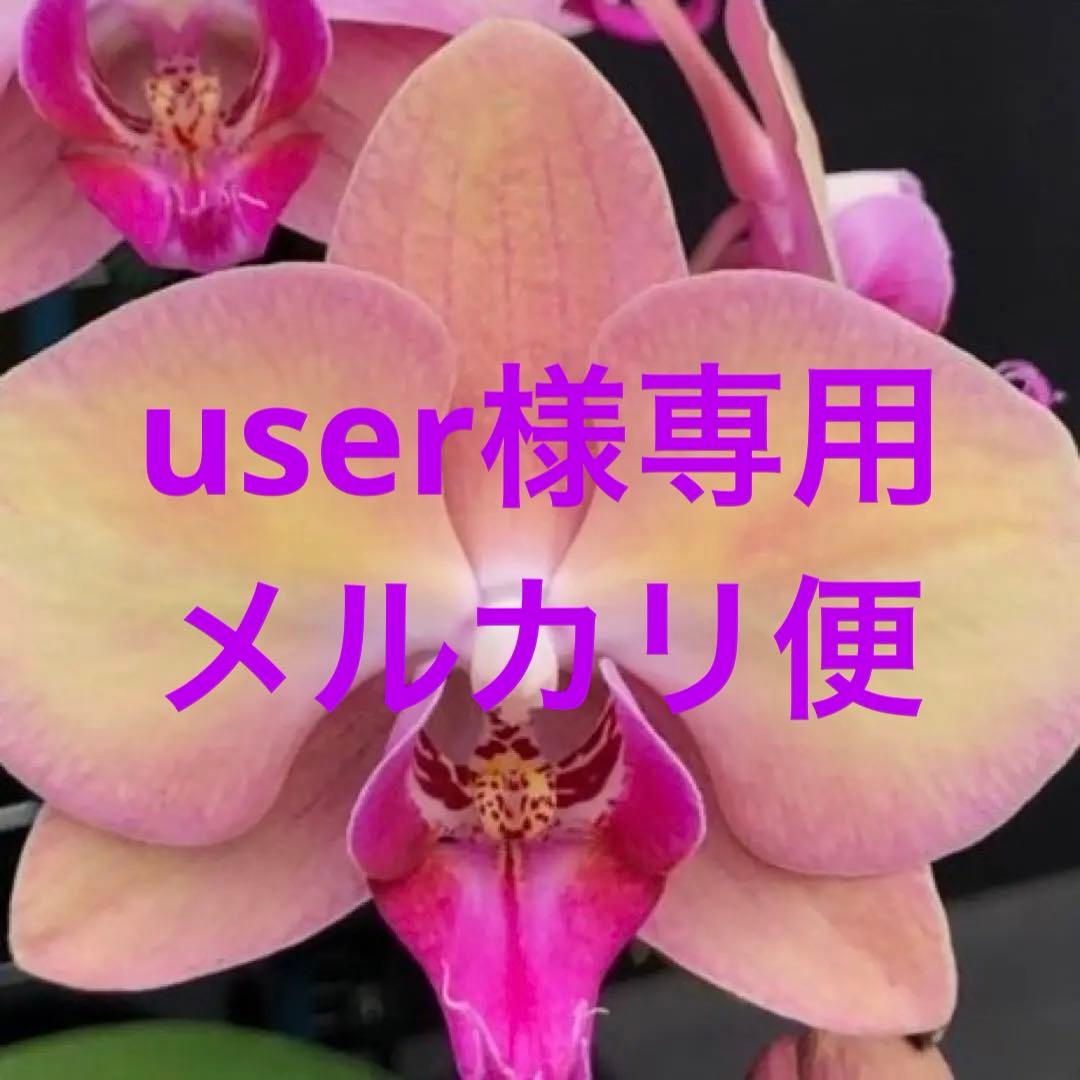 user_ee23f7bd様 リクエスト 3点 まとめ商品　メルカリ便 様専用 リクエスト3点 まとめ商品 - メルカリ