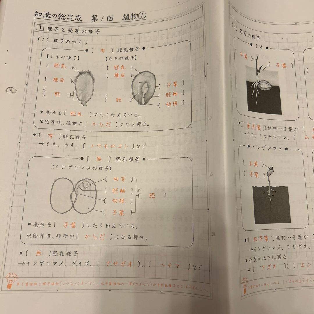 サピックス 知識の総完成 理科 6年生総まとめ 欠番なし - メルカリ