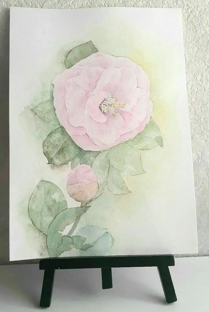 ピンク色の椿 B5 原画 水彩画 - メルカリ