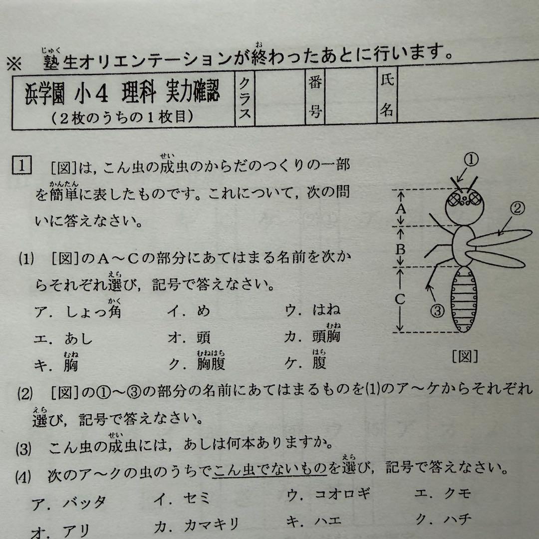 浜学園 Vクラス 小4 理科 復習テスト 最新 2026年 即発送 中学受験