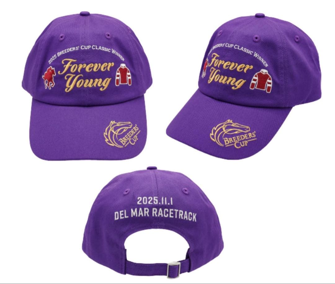 非売品】フォーエバーヤングキャップ Welcomeチャンス ポストカード4枚