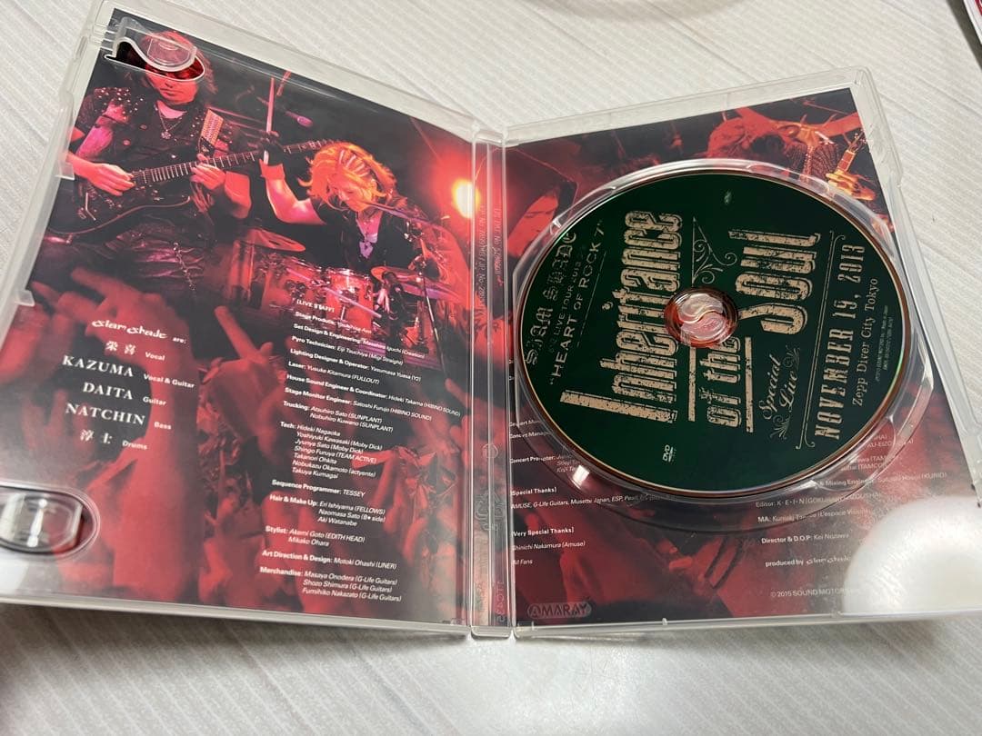 希少！ SIAM SHADE LIVE DVD 2013