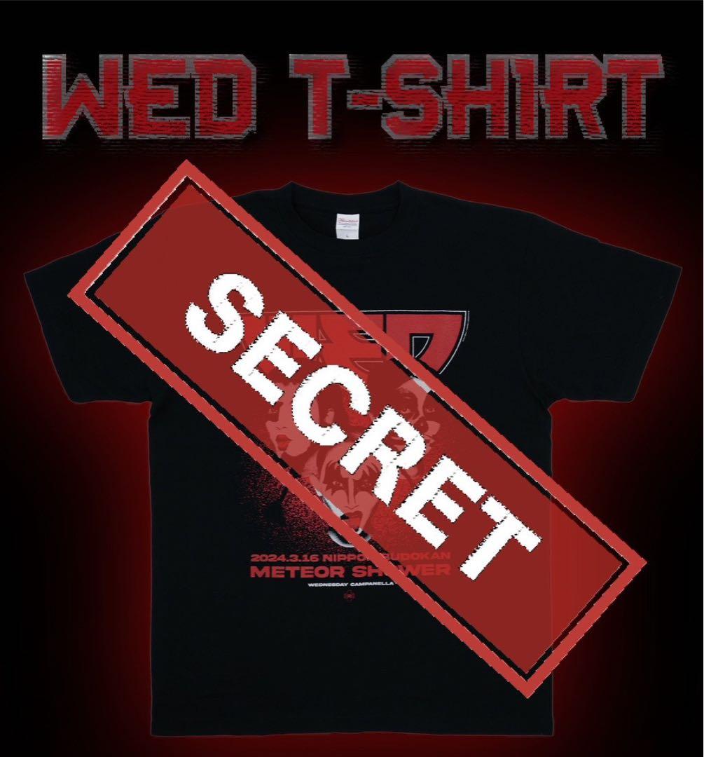 ◇限定品◇【未開封】【新品、未着用】水曜日のカンパネラ