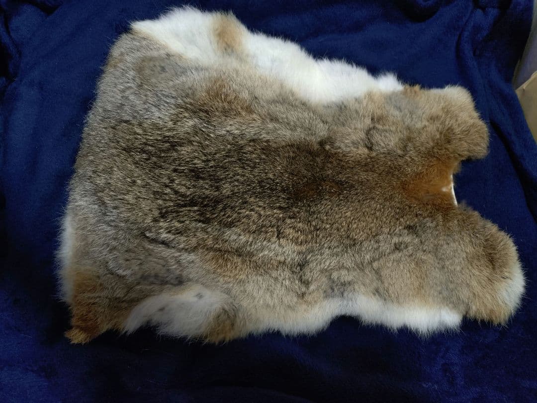 ヤギ 毛皮 ラグ 約70×90cm ウサギの毛皮 管理番号3 - メルカリ