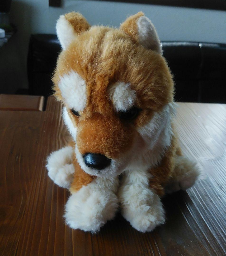 REGALO レガロ リアルドッグコレクション ぬいぐるみ 柴犬 高さ約18cm