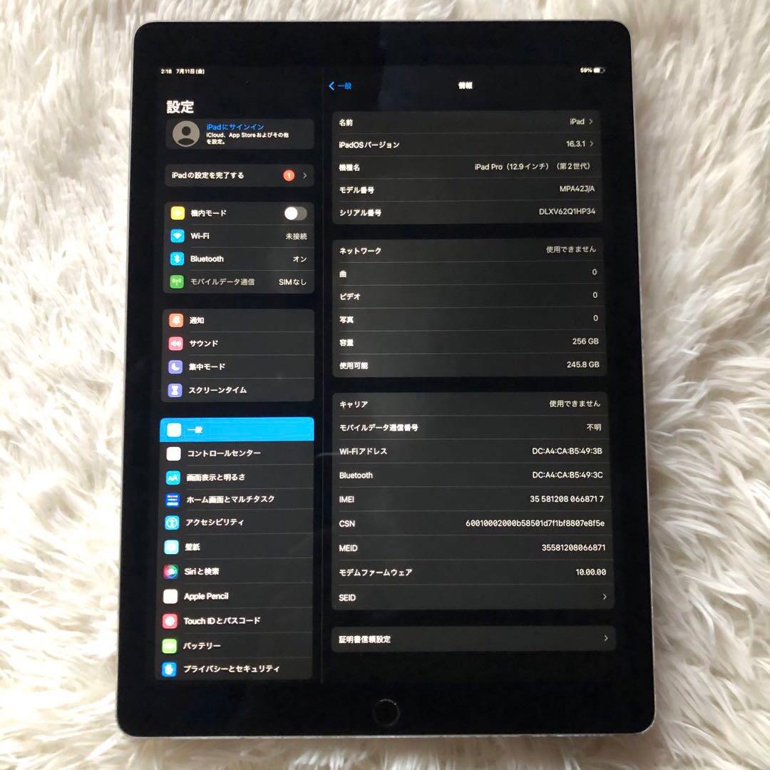完動品】iPad Pro 12.9 第2世代 256GB SIMフリー【発送】 | 激安通販の