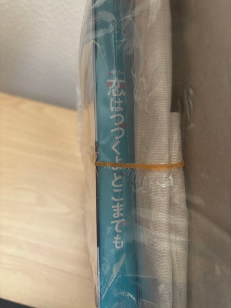【新品未使用】恋はつづくよどこまでも 恋つづ DVD キャンバスミニトート付