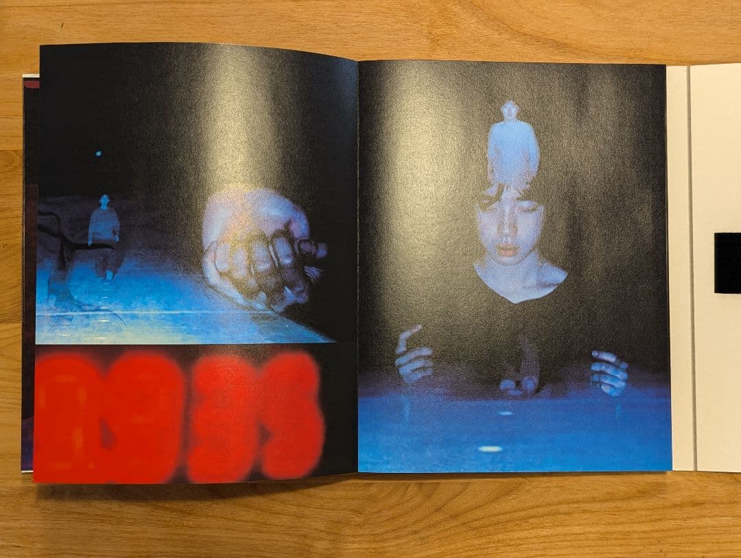 志賀理江子 TCAA 2021-2023 受賞記念展 モノグラフ - メルカリ