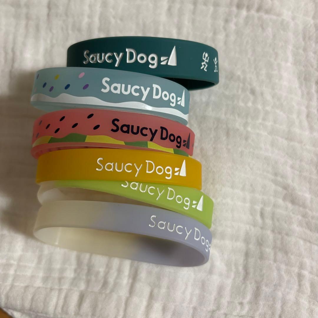 Saucy Dog ラバーバンド 10個セット バラ売り可 - メルカリ