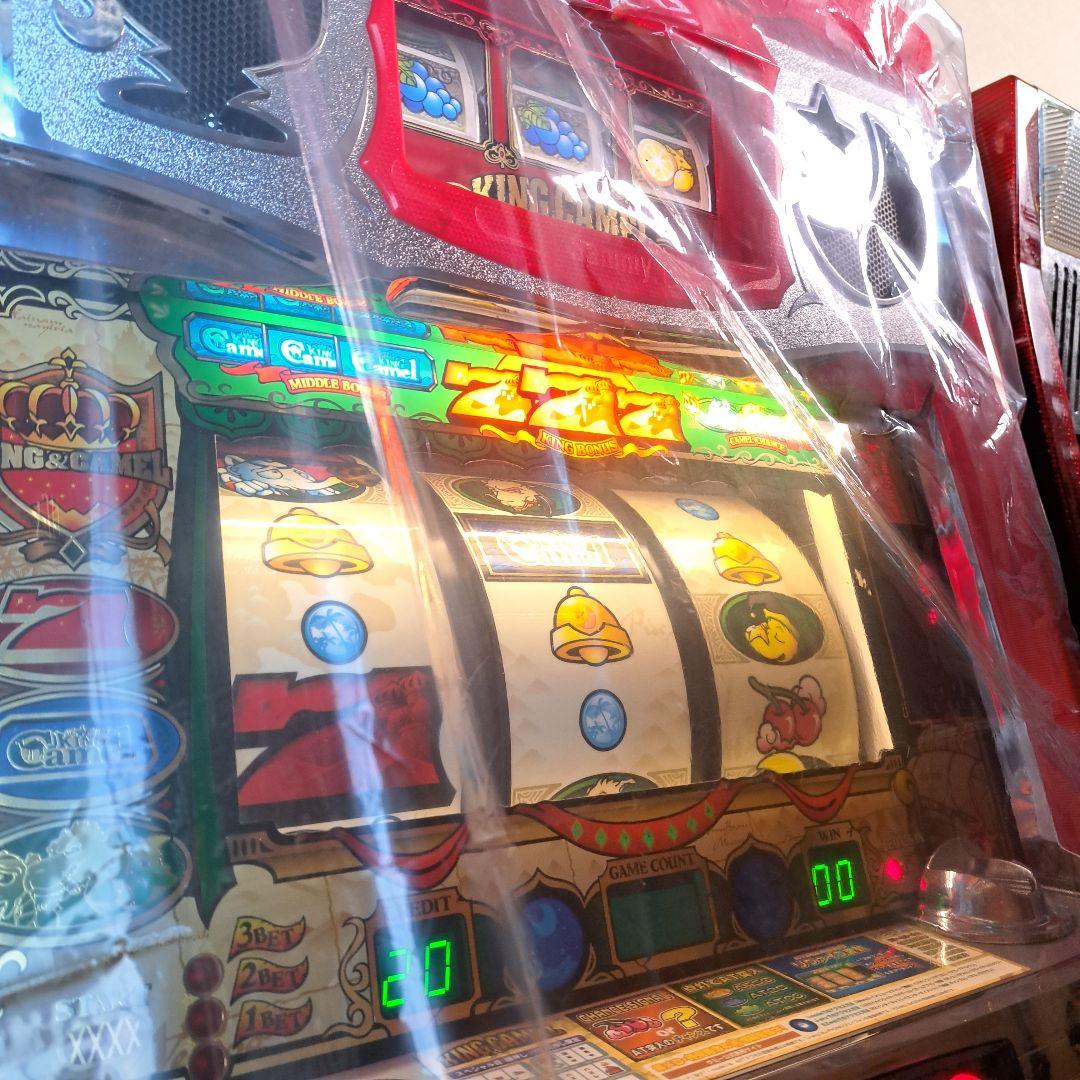 キングキャメル Trex Enhance Golden Hour Sample (Stock Color) - Schillings