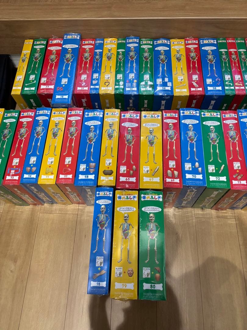 体のふしぎ 人体模型シリーズ 体のふしぎ 人体模型アーサー 消化のしくみ 冊子 - メルカリ