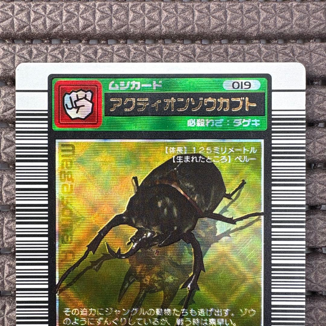 希少 アクティオンゾウカブト 2003SUMMER 夏 学名黒 金 ムシキング