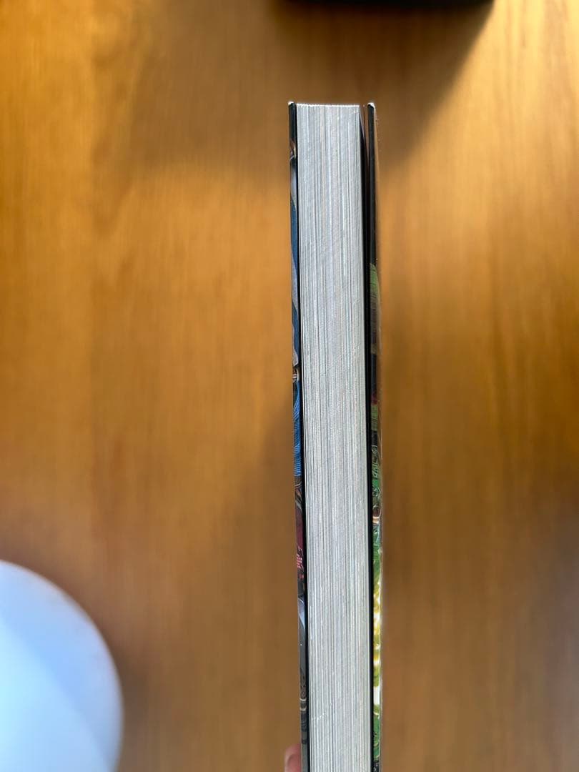 1/30値下[美品]HAPPY VICTIMS 着倒れ方丈記 第二版