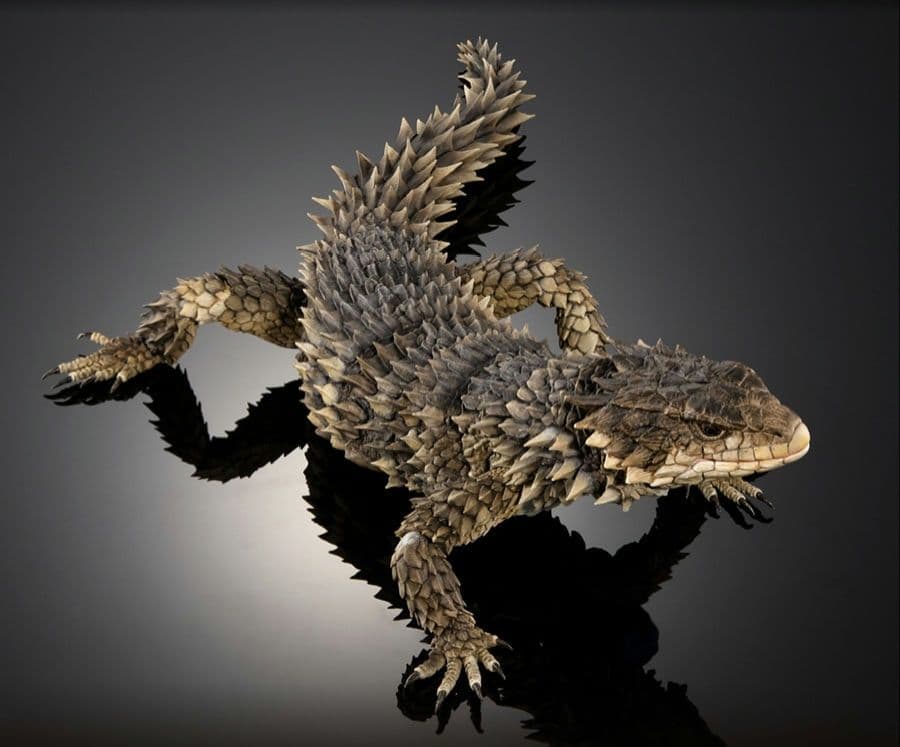 いきもの大図鑑アルティメット オオヨロイトカゲ - メルカリ