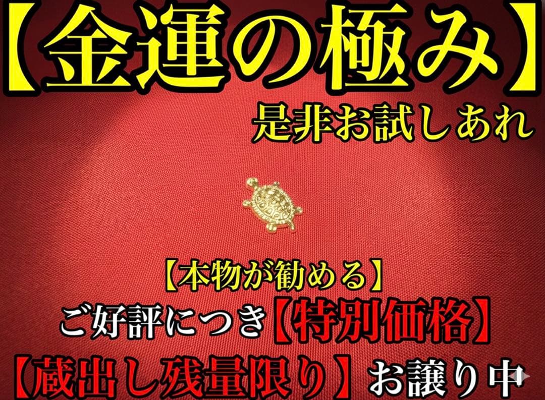 人生逆転【金運金亀】高額当選 特級呪物 チョウピラコ 座敷童子