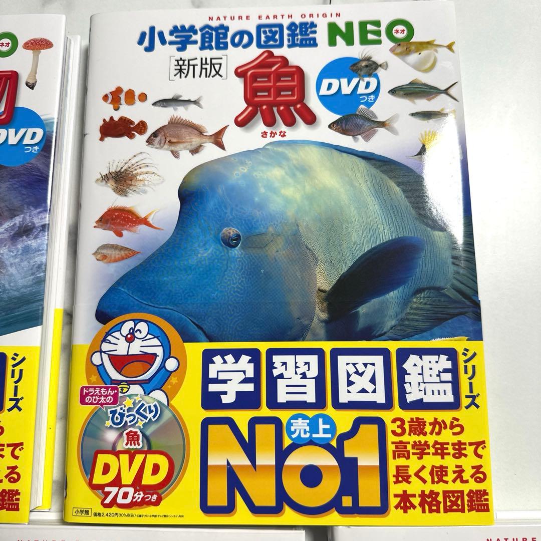 美品【DVD付き】新版 小学館の図鑑NEO シリーズ5冊セット - メルカリ