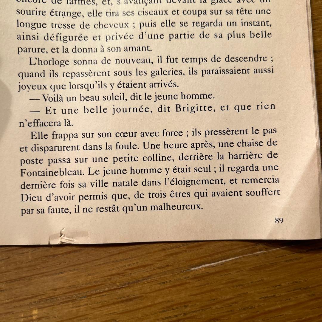 ポンヌフの恋人 フランス版 パンフレット フランス映画 - メルカリ