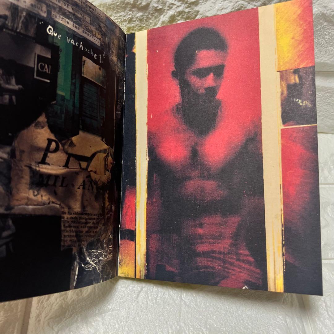 映画 春光乍洩 happy together ブエノスアイレス 限定写真集 - メルカリ