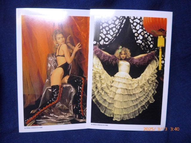 12/13〜14は対応・返信不可　貴重イリナ・イオネスコの絵葉書５点ほか 12/13〜14は対応・返信不可 貴重イリナ・イオネスコの絵葉書5点ほか