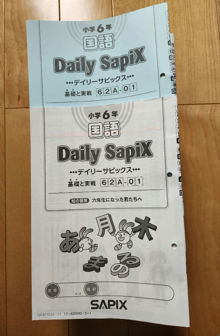 2025年度 サピックス 6年生 国語A 欠番なし - メルカリ
