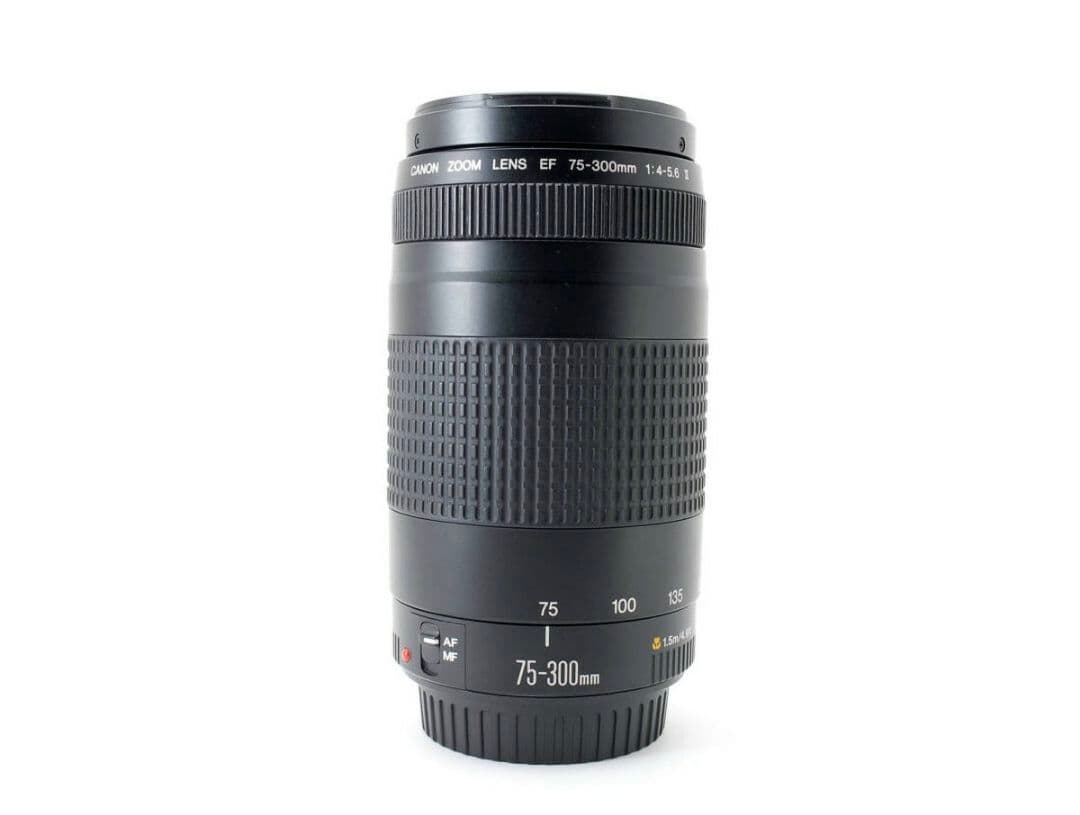 5月15日限定特価♪【超望遠レンズ】Canon EF 75-300mm Ⅱキヤノン、3万