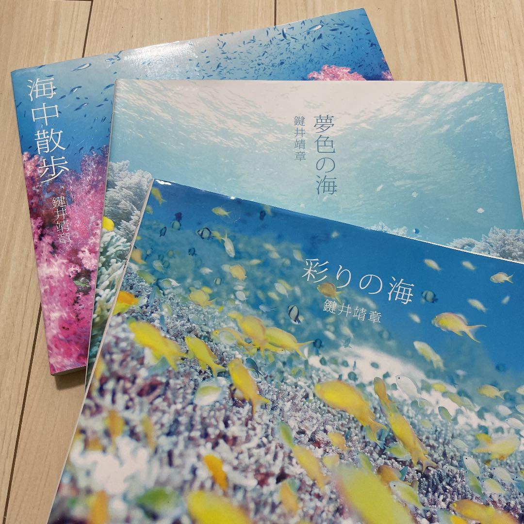 鍵井靖章　パイインターナショナル　絶版　三部 鍵井靖章 パイインターナショナル 絶版 三部 - メルカリ