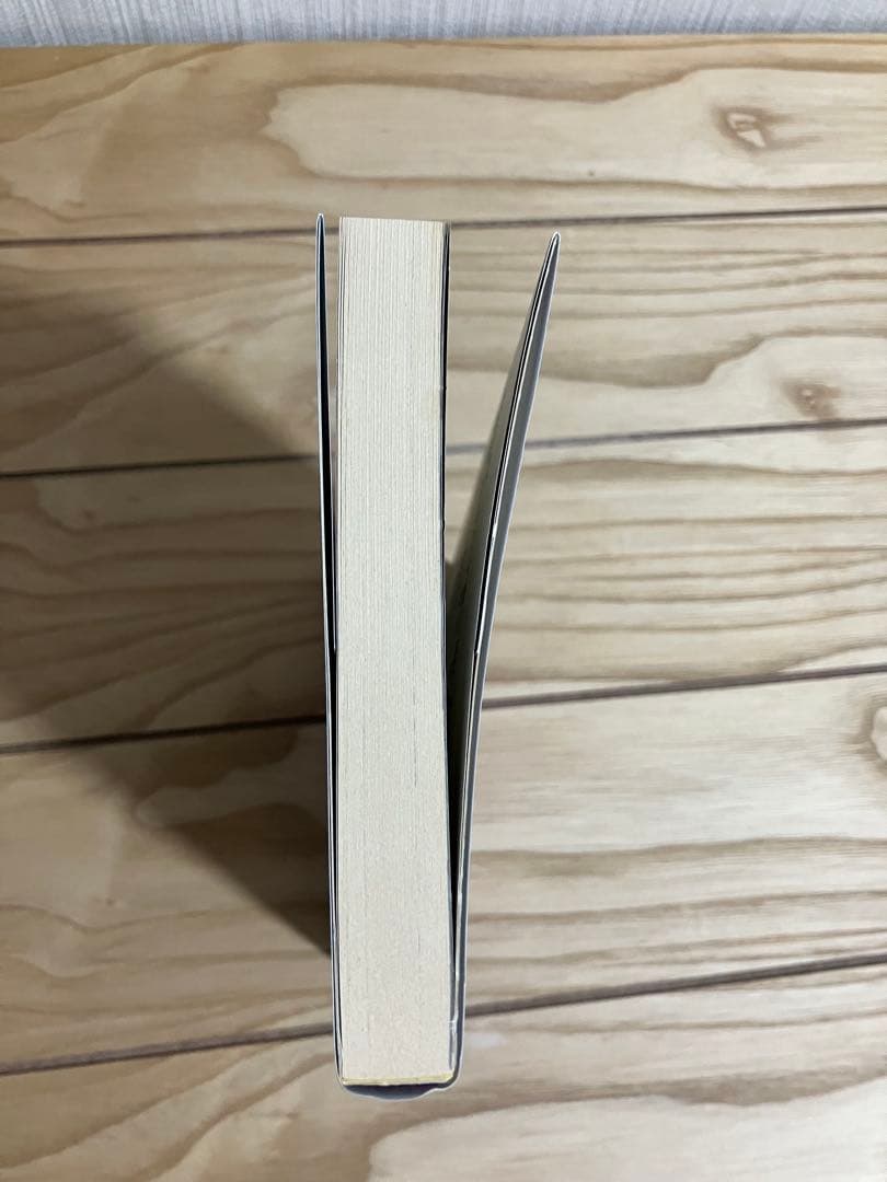 小説 ヨコハマ買い出し紀行-見て、歩き、よろこぶ者-