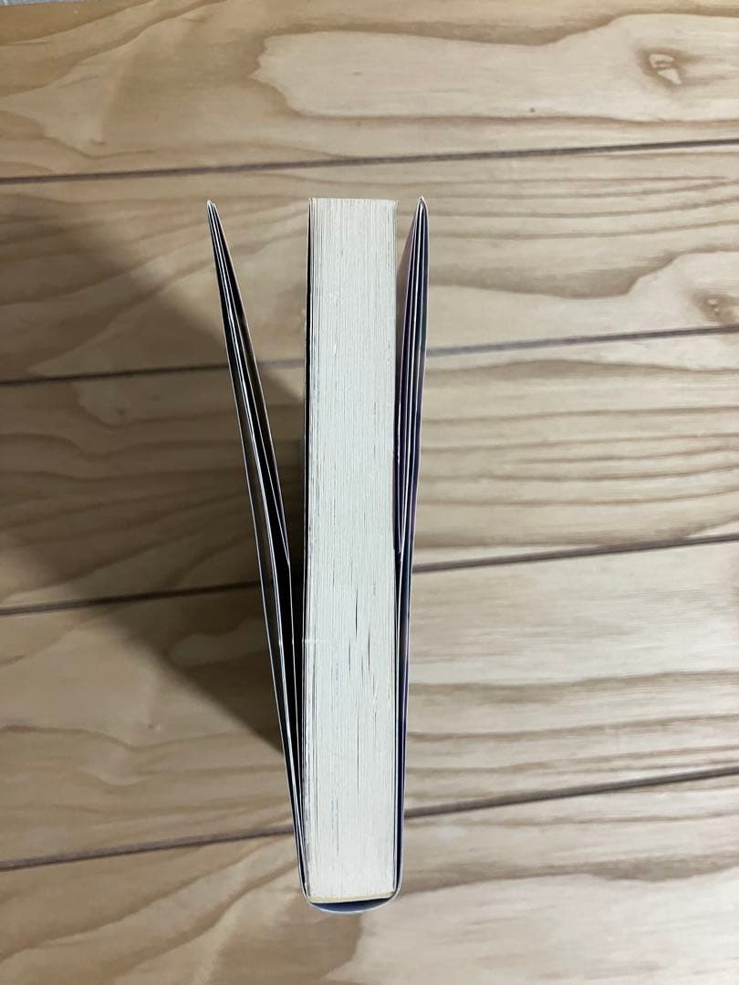 小説 ヨコハマ買い出し紀行-見て、歩き、よろこぶ者-