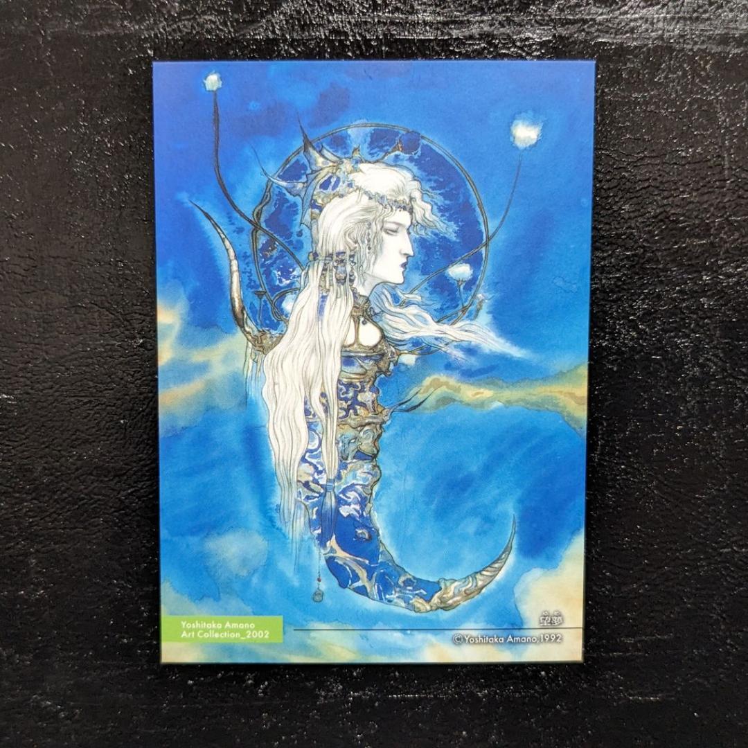 天野喜孝 アートコレクション アルスラーン戦記 望夢 - メルカリ