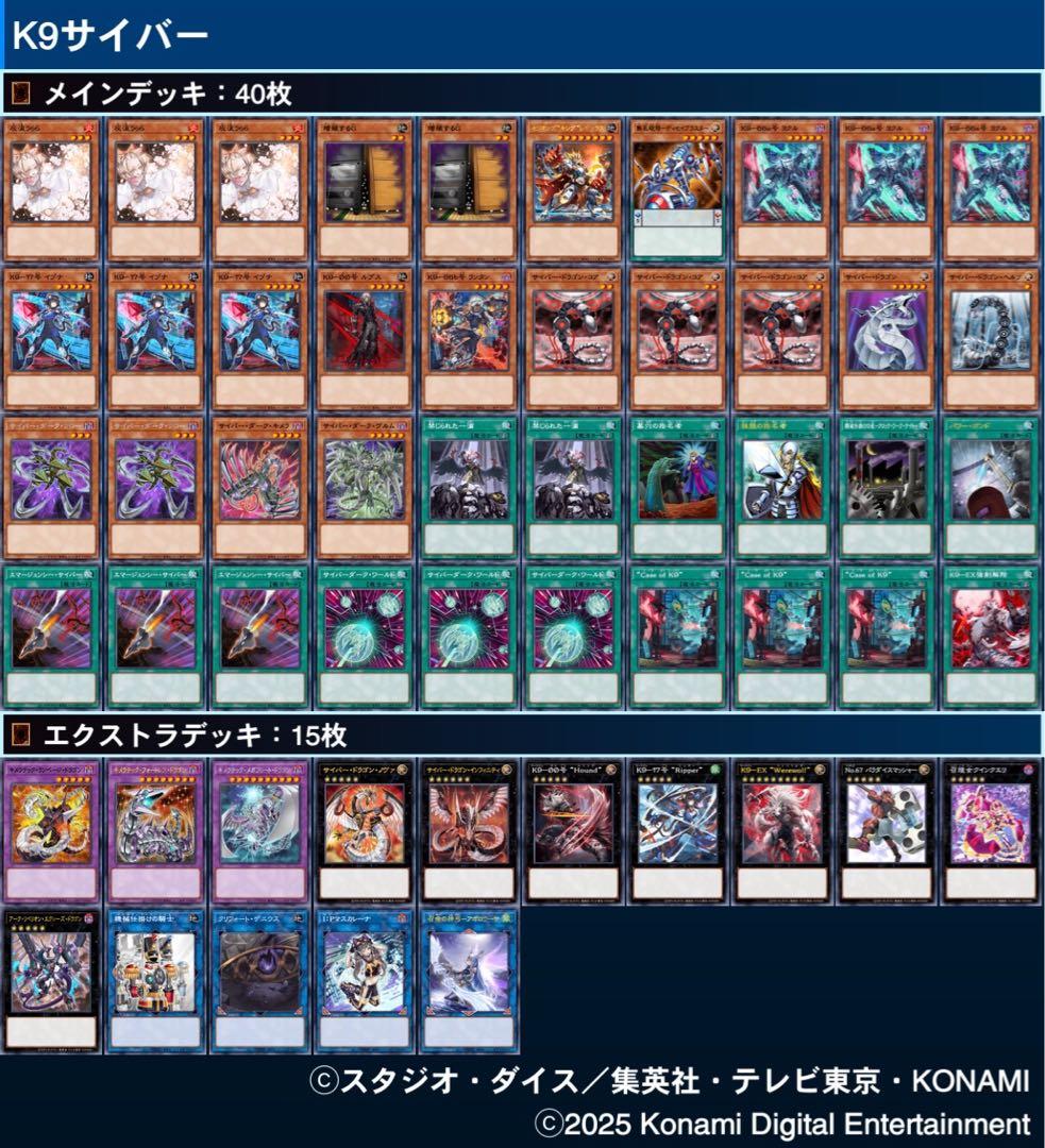 構築済み 本格構築 K9 サイバー k9サイバー ヨクル サイバードラゴン