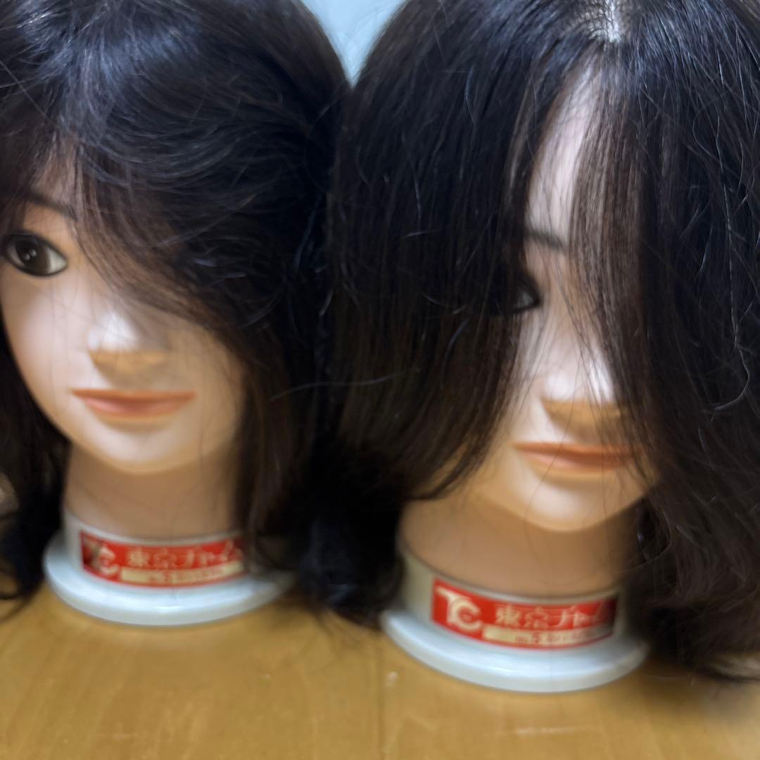 東京チャームNo.5 カットモデル 2体セット 2体セット 未使用 練習用