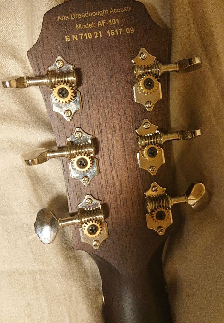 ARIA AF-101MHCE N マホガニーカッタウェイ ARIA AF-101MHCE N