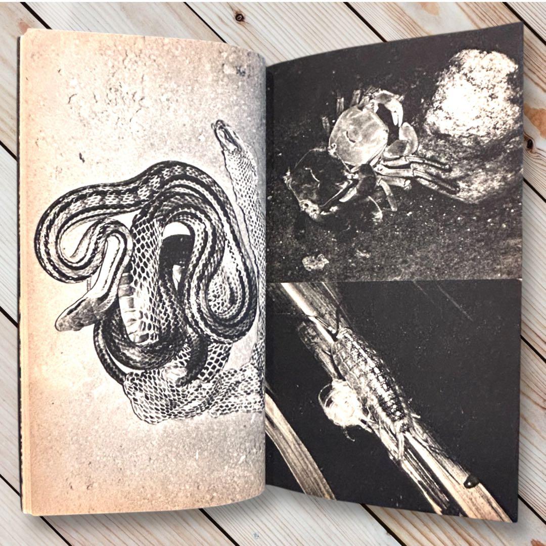 1980年 着るー平凡社カルチャーtoday④装いの生態学 多田道太郎　杉浦康平