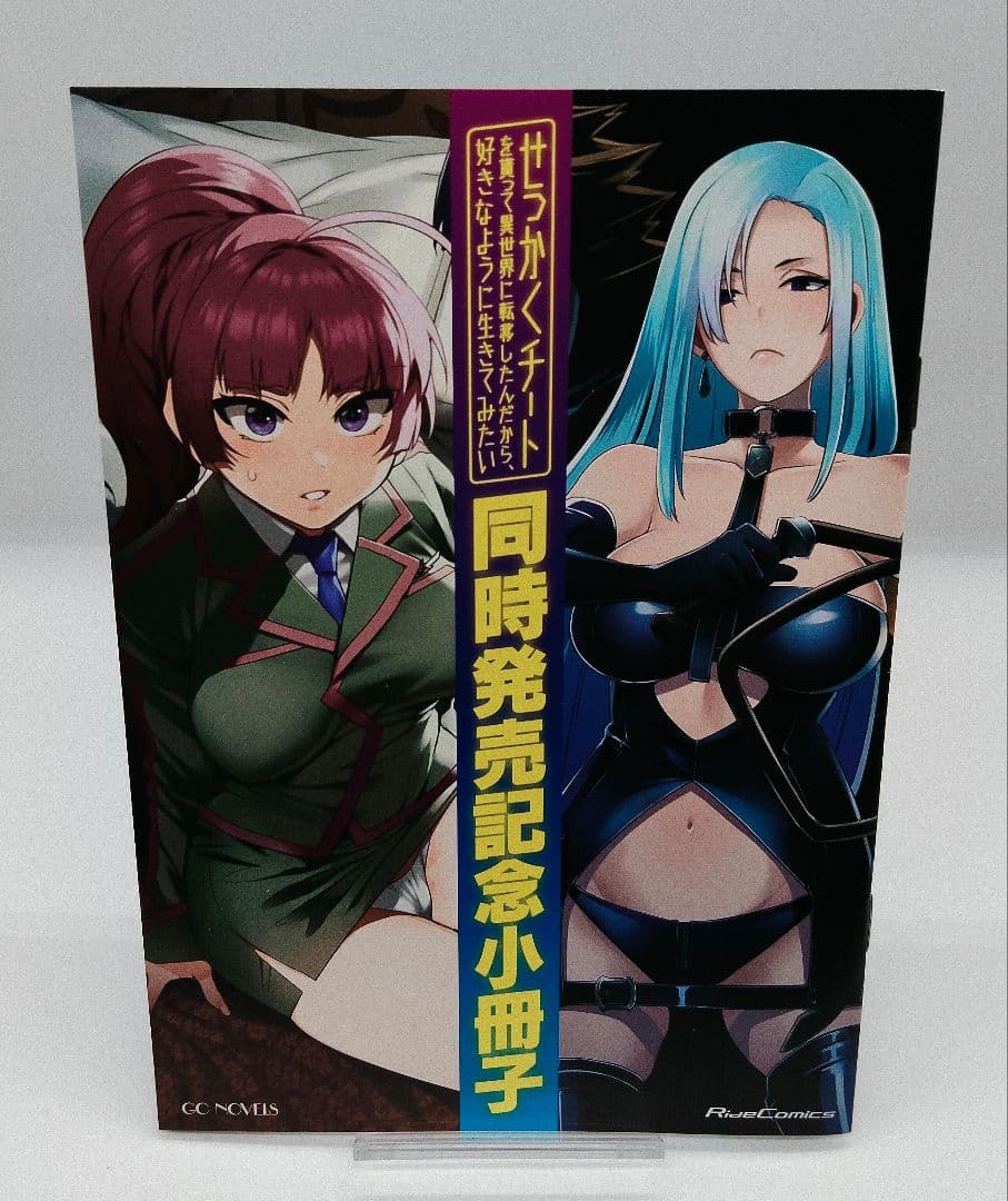 せっかくチートを貰って異世界に転移したんだから 全10巻セット 特典 ほぼ未開封