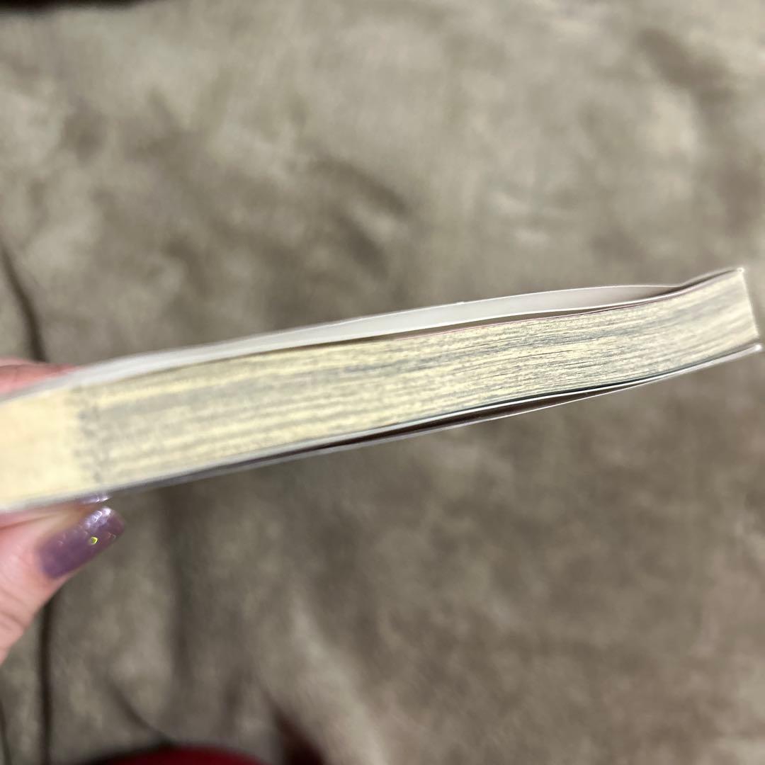 私の大好きなお義兄様 ～潔癖公爵の独占愛～ あづみ悠羽 乙女ドルチェコミックス