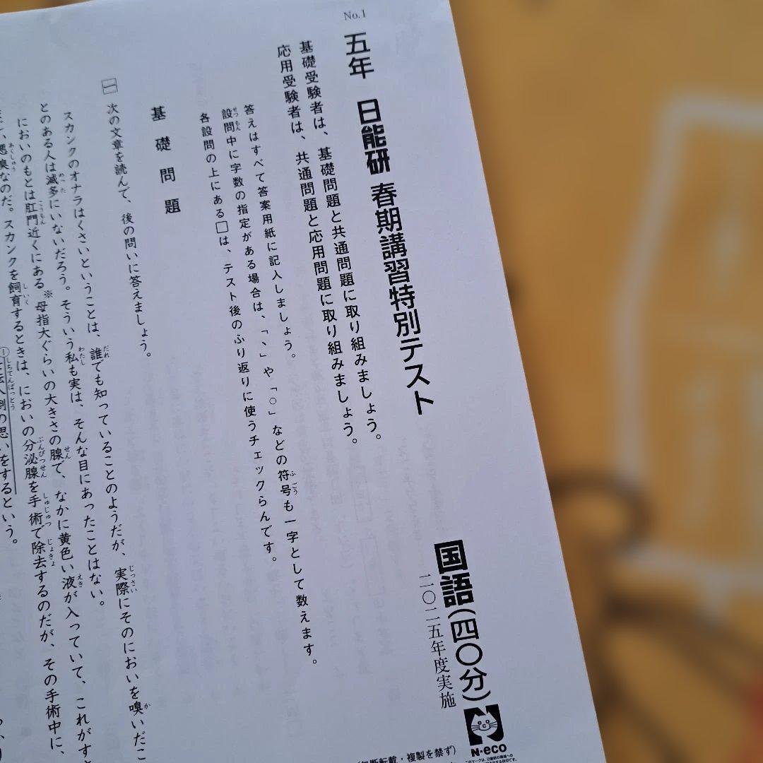 2025年 5年 日能研 春期講習特別テスト - メルカリ