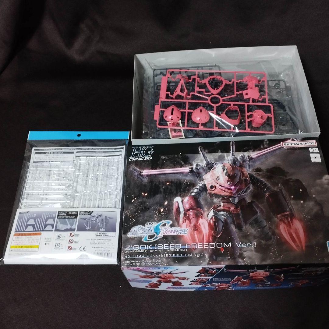 ガンプラ6点【レジェンド/デスティニー/ストフリ/インジャ/ズゴック