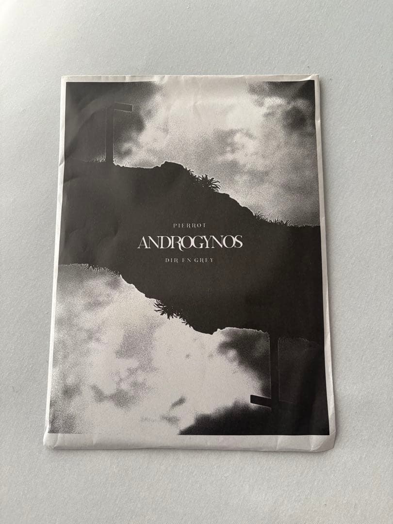 ANDROGYNOUS 2017 DVD 豪華版未開封品　フライヤー