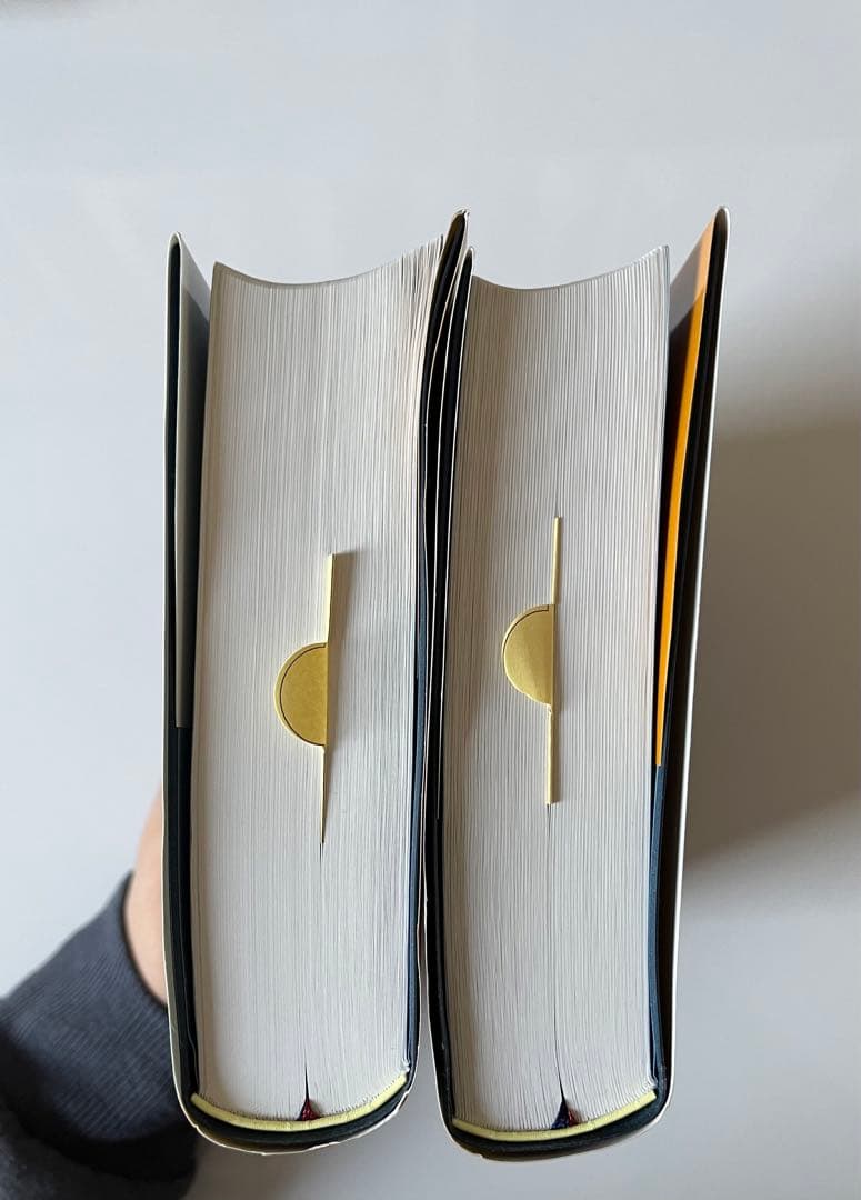 鍼灸療法技術ガイド I & II セット | 激安通販のイーサプライ