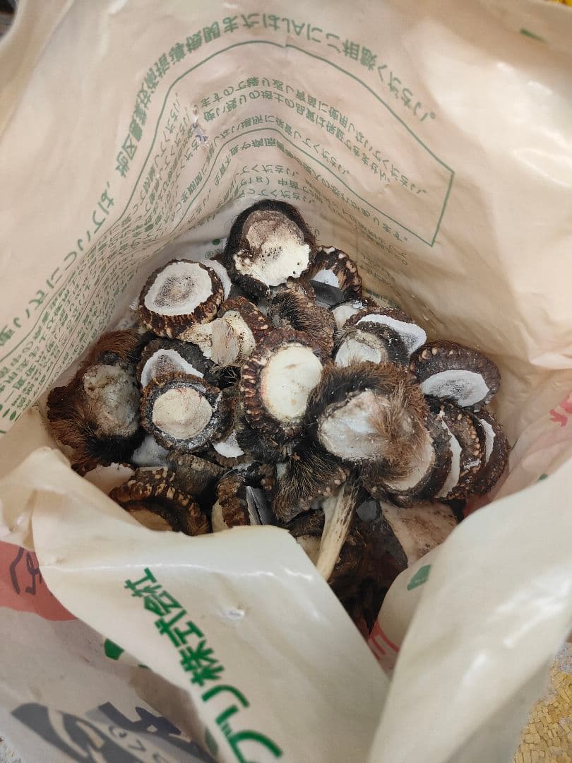 鹿角　端材 約21kg PB-17 – 真鍮下ゲ振 | 水平器の専門トップメーカー アカツキ製作所