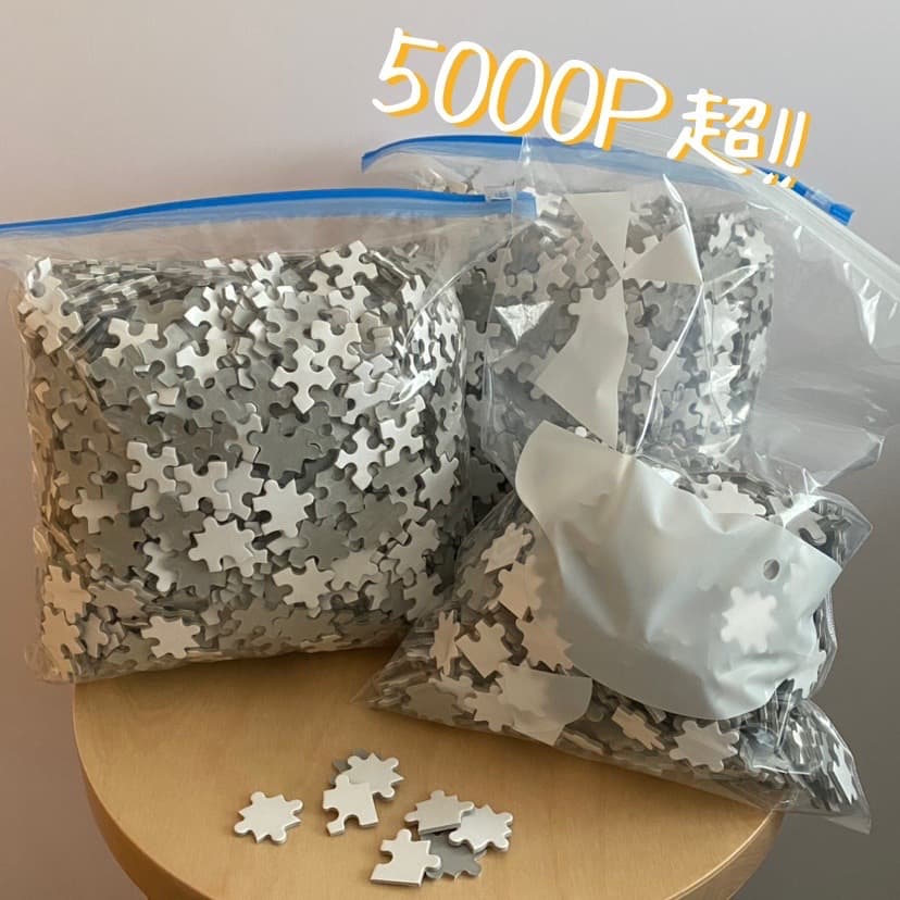 【未使用品】5005P ホワイト ジグソーパズル 特注品 アート 美術 白地図 未使用品】5005P ホワイト ジグソーパズル 特注品 アート 美術 白地図