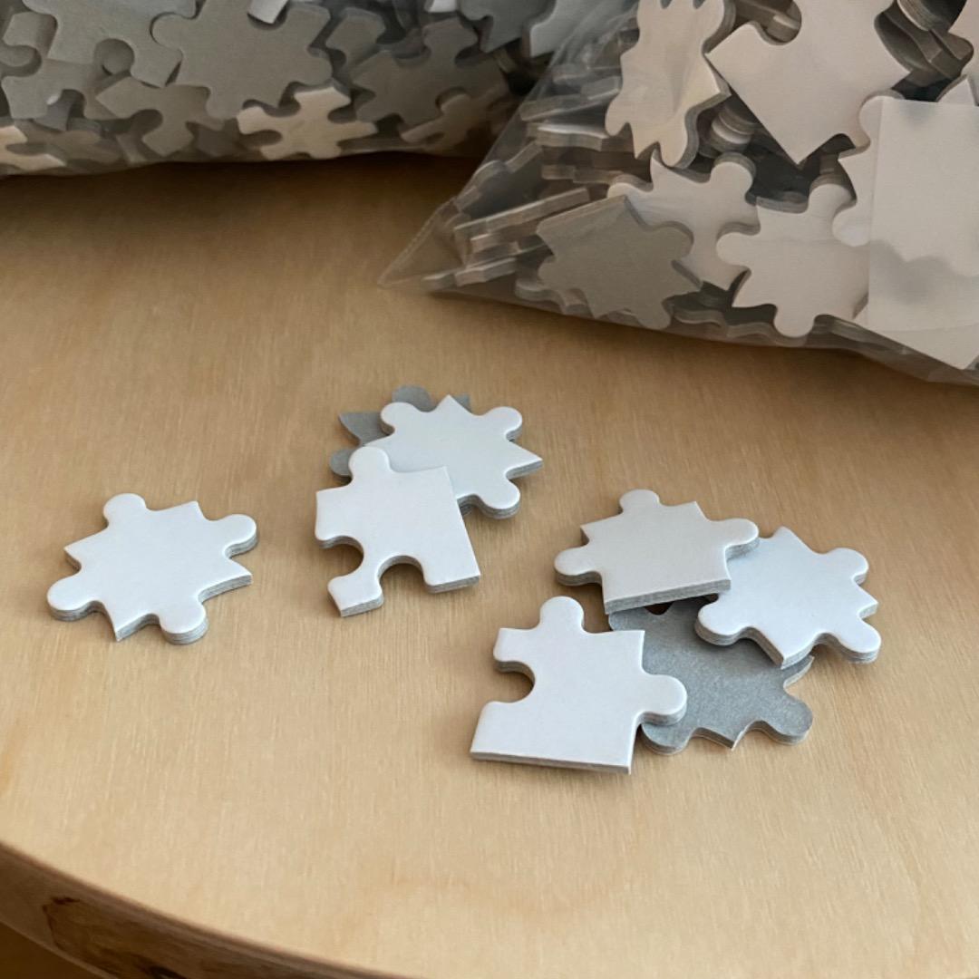 未使用品】5005P ホワイト ジグソーパズル 特注品 アート 美術 白地図